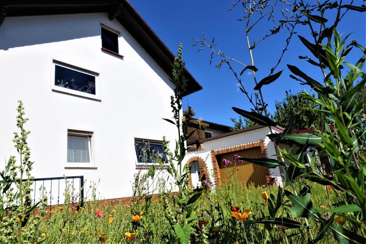 Ferienwohnung-M8 Im Schoenen Werratal Jestadt Dış mekan fotoğraf